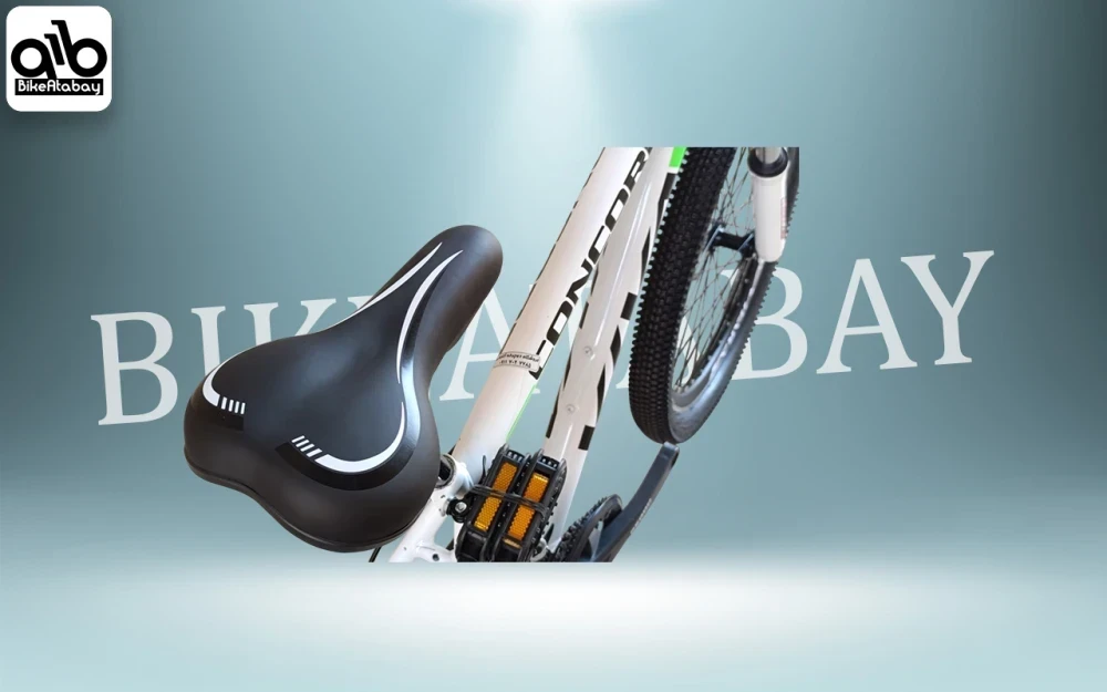 دوچرخه طرح ویوا سایز ۲۴ - thumbnail 4