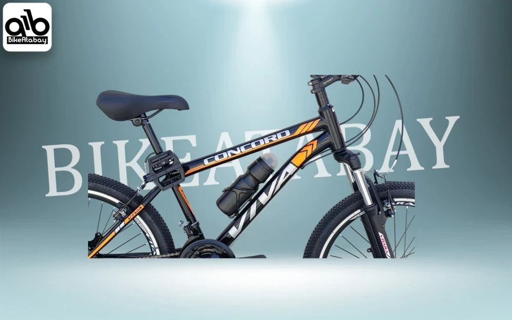 دوچرخه سایز۲۴ طرح ویوا - thumbnail 2