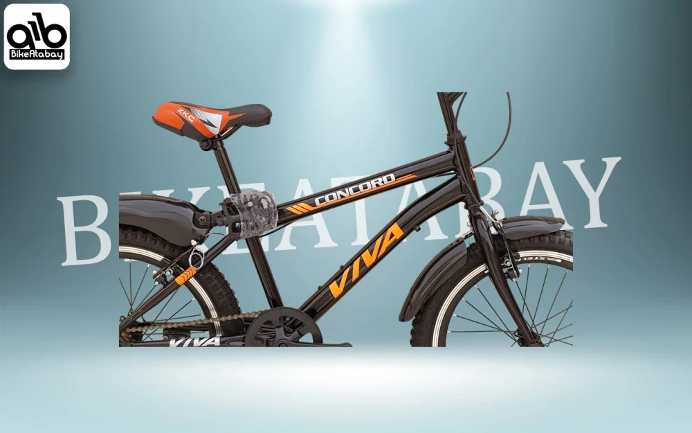 دوچرخه ساده طرح ویوا سایز 20 - thumbnail 4