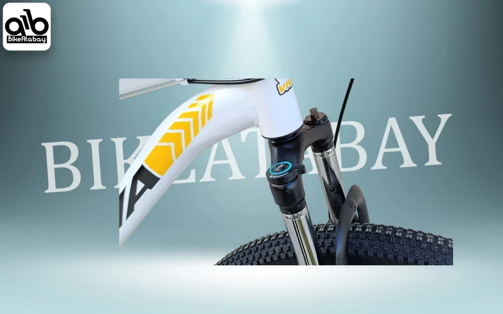 دوچرخه کوهستانی طرح ویوا - thumbnail 5