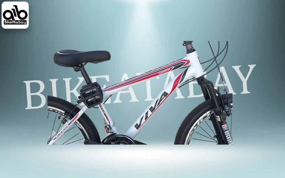 دوچرخه طرح ویوا ۲۴ - thumbnail 2