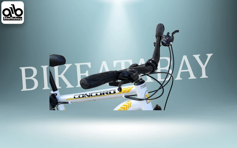 دوچرخه کوهستانی طرح ویوا - تصویر 6