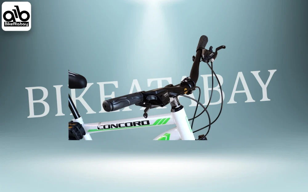 دوچرخه طرح ویوا سایز ۲۴ - تصویر 5