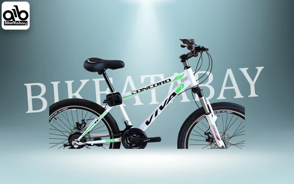 دوچرخه طرح ویوا سایز ۲۴ - تصویر 2