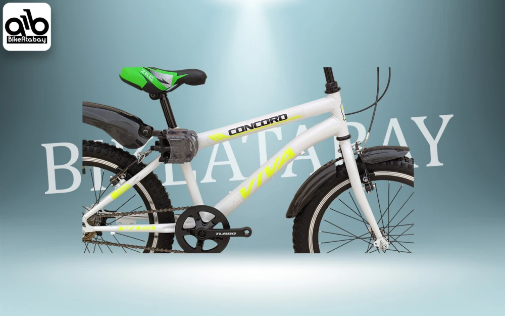 دوچرخه ساده طرح ویوا سایز 20 - تصویر 2