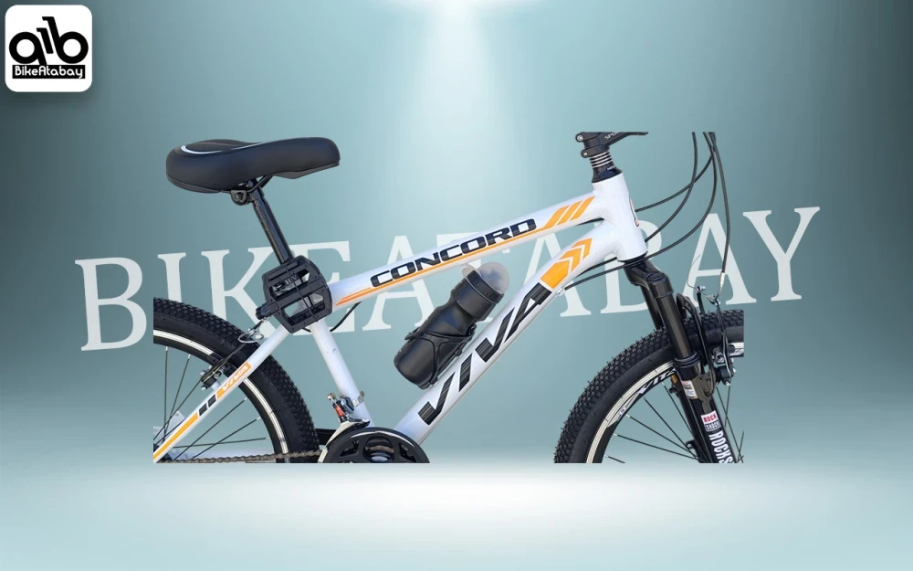 دوچرخه طرح ویوا ۲۴ - تصویر 4