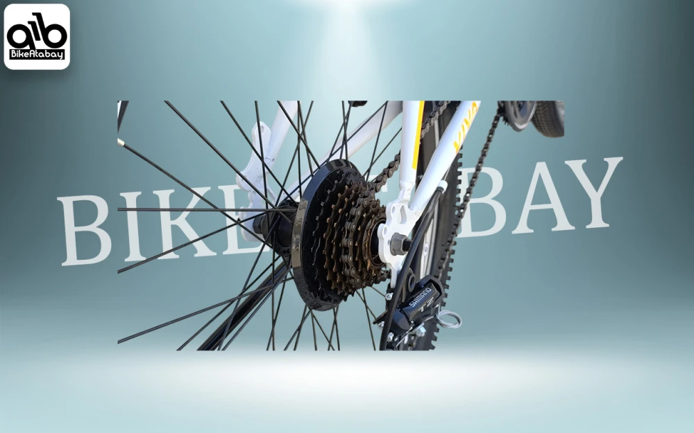 دوچرخه طرح ویوا ۲۴ - تصویر 5