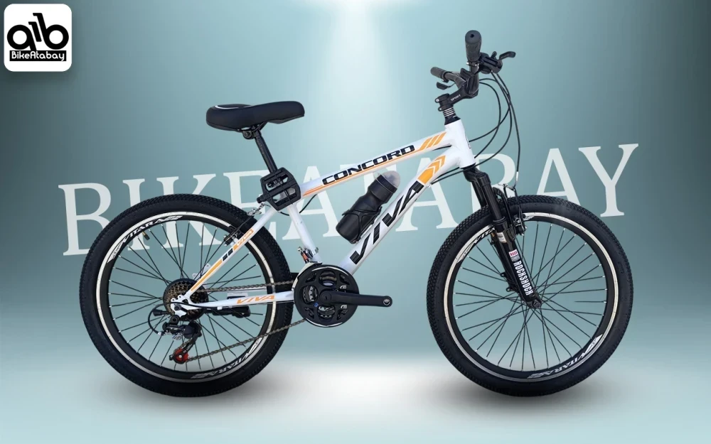 دوچرخه طرح ویوا ۲۴ - تصویر 3