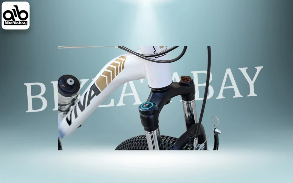 دوچرخه طرح ویوا سایز26 - تصویر 4