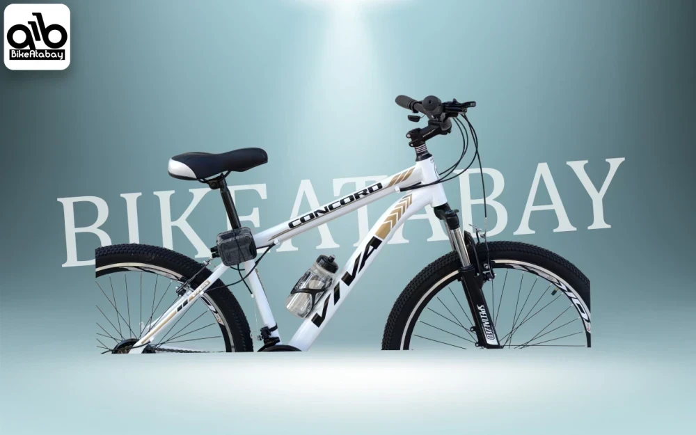 دوچرخه طرح ویوا سایز26 - تصویر 2