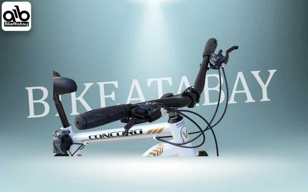 دوچرخه طرح ویوا سایز26 - تصویر 6