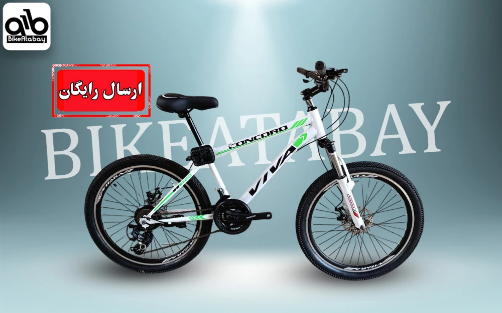 دوچرخه طرح ویوا سایز ۲۴ - تصویر 1
