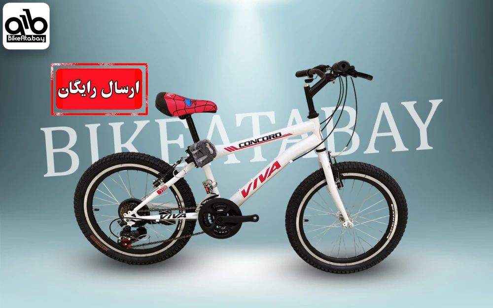 دوچرخه سایز ۲۰ طرح ویوا - تصویر 1