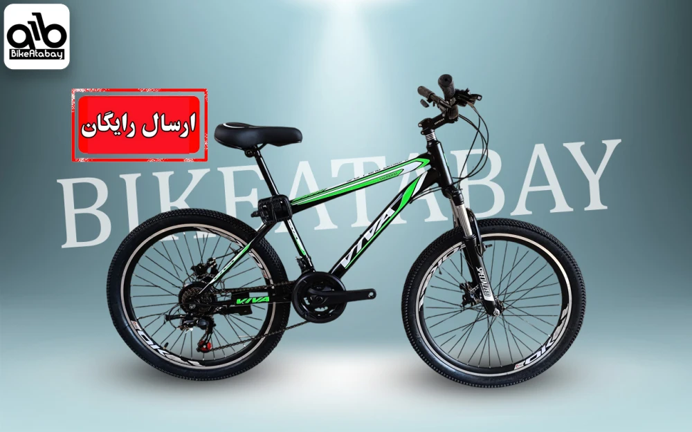 دوچرخه کوهستان سایز 24 طرح ویوا - تصویر 1