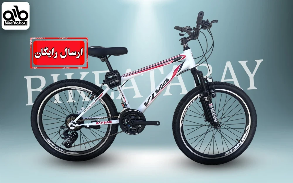 دوچرخه طرح ویوا ۲۴ - تصویر 1